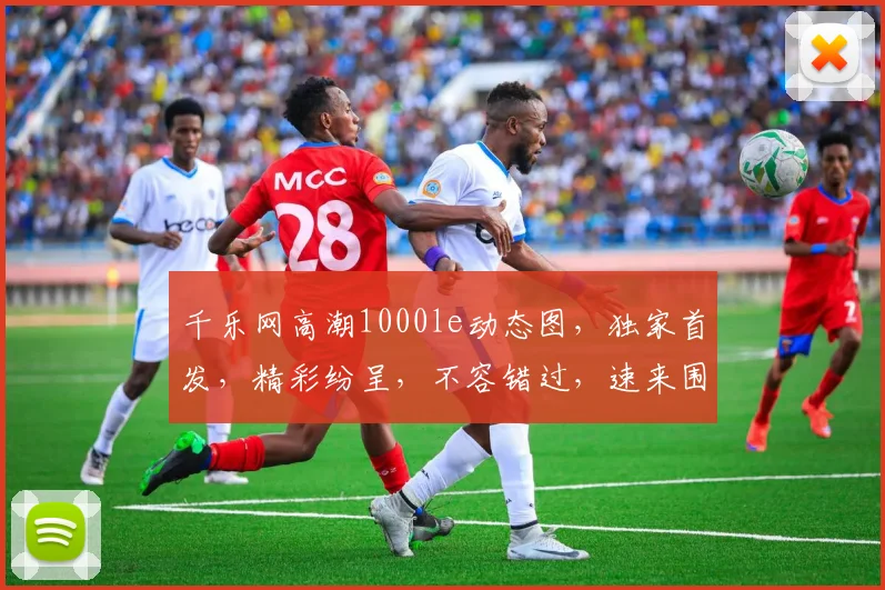 千乐网高潮1000le动态图，独家首发，精彩纷呈，不容错过，速来围观