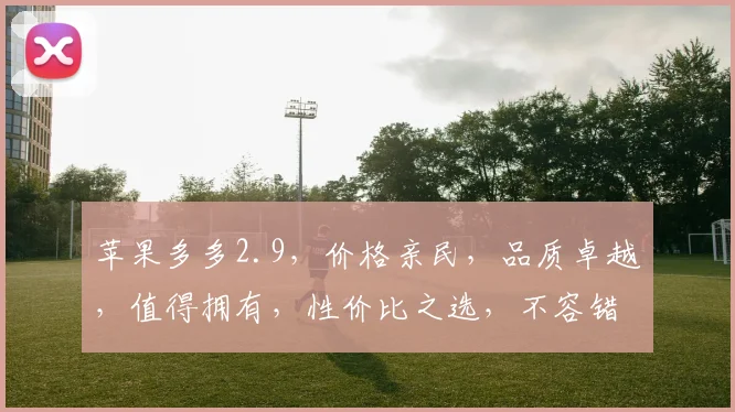苹果多多2.9，价格亲民，品质卓越，值得拥有，性价比之选，不容错过，抢购从速