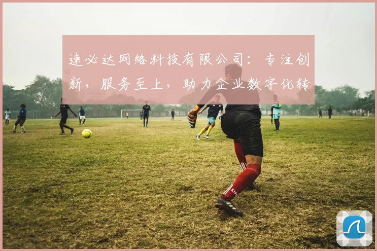 速必达网络科技有限公司：专注创新，服务至上，助力企业数字化转型，成就未来