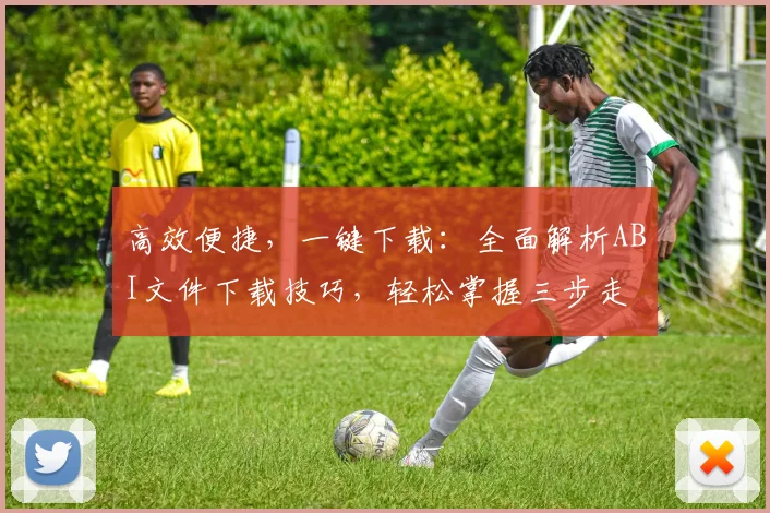 高效便捷，一键下载：全面解析ABI文件下载技巧，轻松掌握三步走