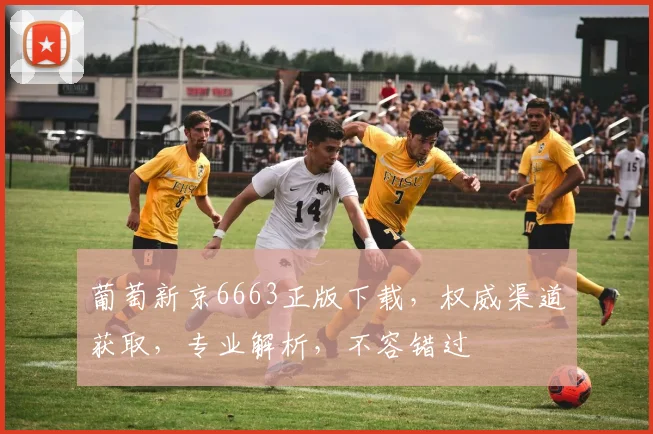 葡萄新京6663正版下载，权威渠道获取，专业解析，不容错过